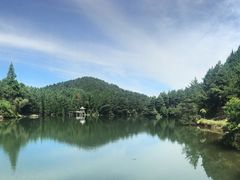 -四明山国家森林公园