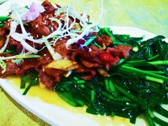 千里香蒙古牛肉-半岛公馆(淞兴西路店)