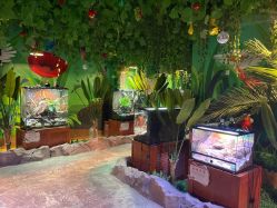 -酷嗒动物文化乐园(cutezoo西溪乐天城店)