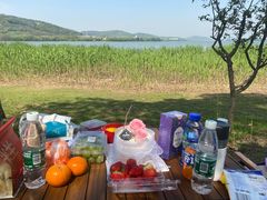 -长广溪湿地公园