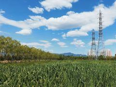 -永定河休闲森林公园