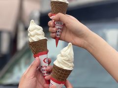 -富豪雪糕车流动点(尖沙咀店)