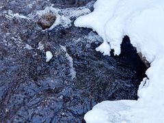 -峡谷浮石林景区