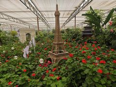 -南宫五洲植物乐园