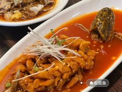 -陈麻婆豆腐(旗舰店)