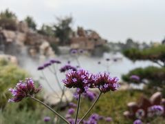-静之湖度假区