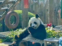 -大连森林动物园