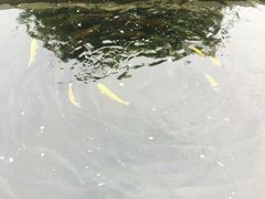 -天源渔港农庄