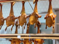 -香港狮子山下·明星粤菜餐厅(北苑店)