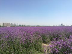 -赛汗塔拉风情园