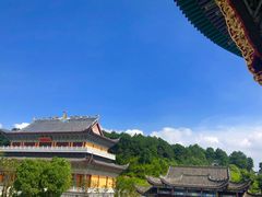 -铁山坪森林公园