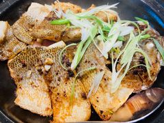 嘟嘟鲈鱼煲-千日贺茶餐厅(高新万达店)