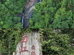 -广州白江湖森林公园