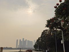 -深圳湾公园(南山区)
