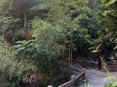 -草庵摩尼教遗址公园