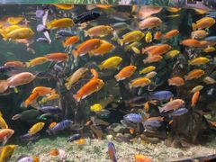 -太平洋海底世界