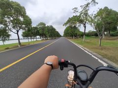 -漕湖湿地公园
