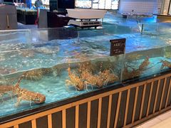 -都市阳光海鲜城(青山湖店)