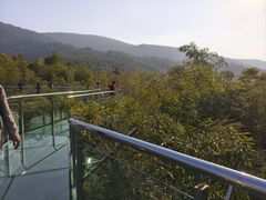 -陶祖圣境风景区