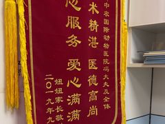 -中农国际动物医院24小时·猫科·骨科·急重症中心