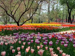 -国家植物园南园