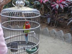 -南宫五洲植物乐园