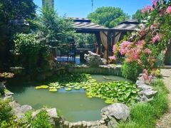 -漫渡庄绿岛花园•隐市庭园菜(滨湖店)