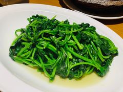 清炒菠菜-粤域茶餐厅