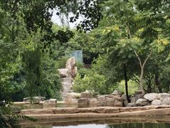 -北京西山国家森林公园