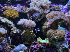 -杭州长乔极地海洋公园