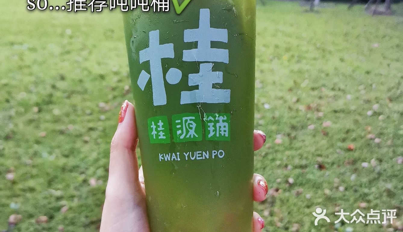 桂源铺的各种柠,最喜欢绿冻柠☑️