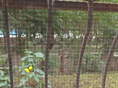 -近春园遗址