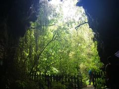 -怀托摩萤火虫洞