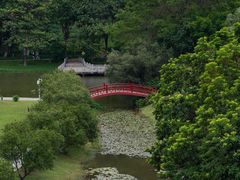 -东莞植物园