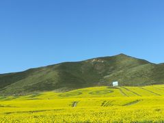-扁都口生态休闲旅游区