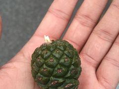 -丹东天桥沟景区