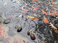 -国恩寺