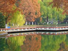 -环城公园-琥珀潭