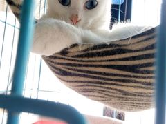-赢吧Bliss音乐酒吧