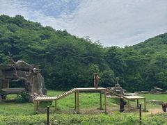 -杭州野生动物世界
