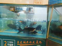 -老傅家湘潭水煮活鱼店(众一国际店)