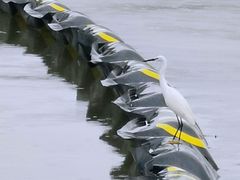 -湖州太湖旅游度假区-月亮广场