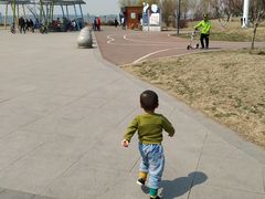 -丁香湖公园