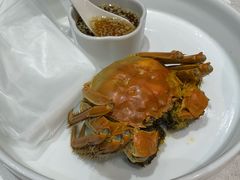 清蒸大闸蟹-香雪海饭店中餐厅(人民桥店)