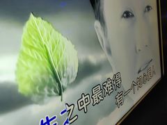 -温莎KTV(珠江路店)