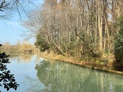 -同里国家湿地公园