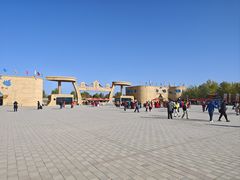-金塔沙漠胡杨林景区