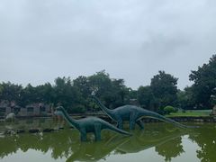 -自贡恐龙博物馆