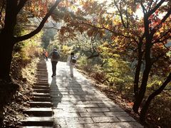 -金龙寺国家森林公园