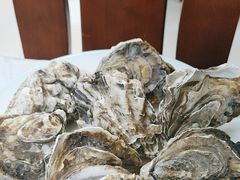 -宾朋海鲜特色美食餐厅·纯手工鲅鱼水饺(兴海路店)